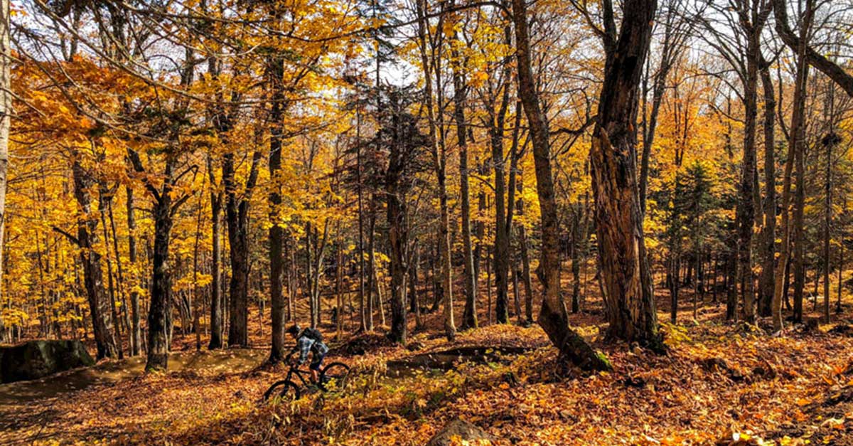 Le Vélo au Massif de Charlevoix une des activités à faire l'automne dans Charlevoix